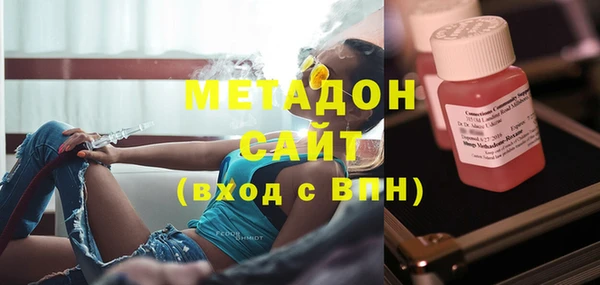 шишки Белокуриха