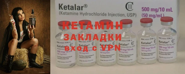 шишки Белокуриха
