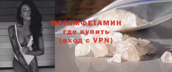шишки Белокуриха