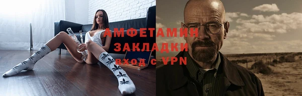 шишки Белокуриха