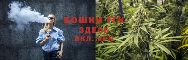 шишки Белокуриха