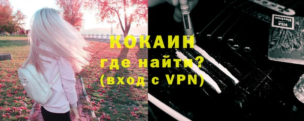 PSILOCYBIN Ельня