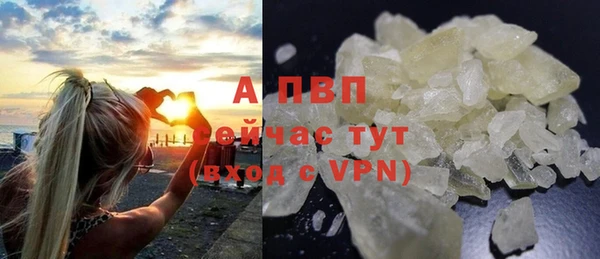 шишки Белокуриха