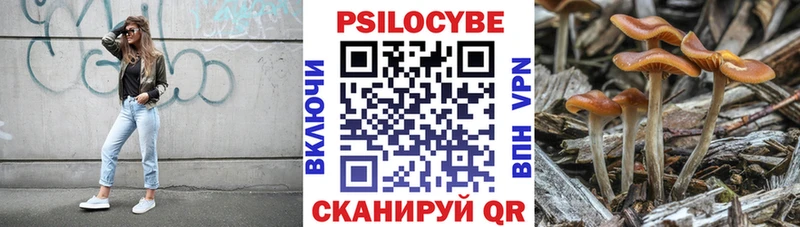 купить закладку  Онега  Псилоцибиновые грибы MAGIC MUSHROOMS 